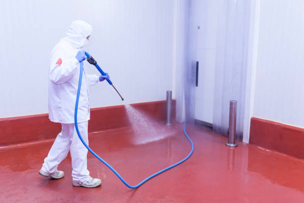 Best Pre-Holiday Cleaning  in El Macero, CA